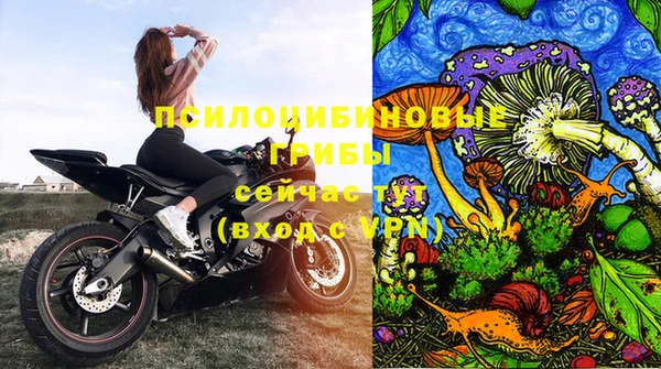 винт Алексин