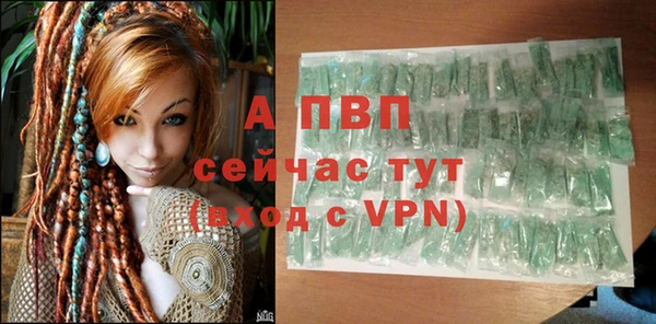 винт Алексин