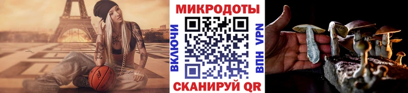 ОМГ ОМГ онион Дзержинский Галлюциногенные грибы GOLDEN TEACHER